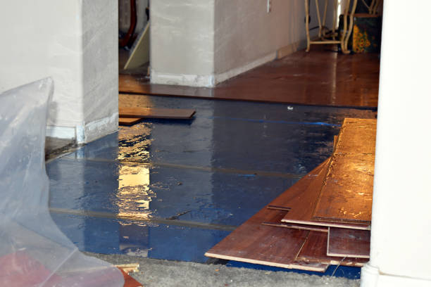 Professional Basement Flood Cleanup technician working in Cashmere, WA